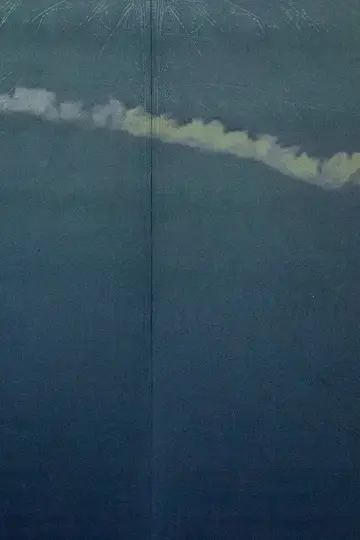 The Diary of a Sky