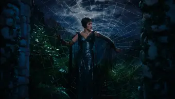 Backdrop to the movie "Kiss of the Spider Woman" #529786