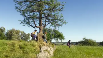 Backdrop to the movie "A Hero