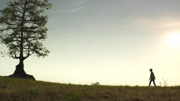Backdrop to the movie "A Hero