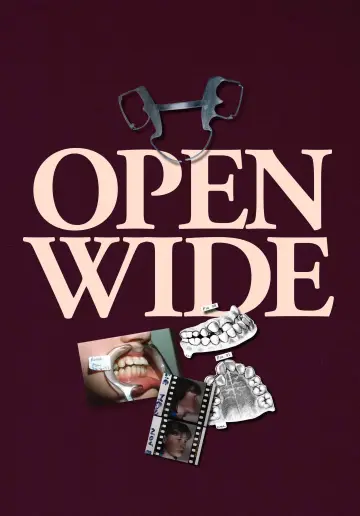 Poster to the movie "Open Wide" #196497