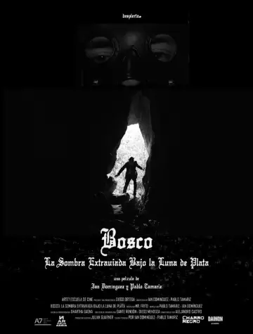 Poster to the movie "Bosco: La Sombra Extraviada Bajo la Luna de Plata" #1086133