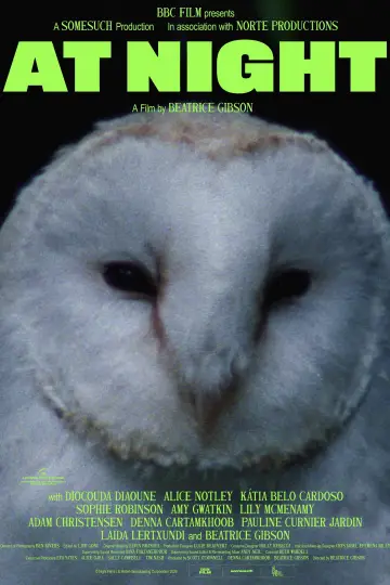 Poster to the movie "The Night" #1121097