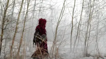 Backdrop to the movie "The Witch. Revenge" #964069