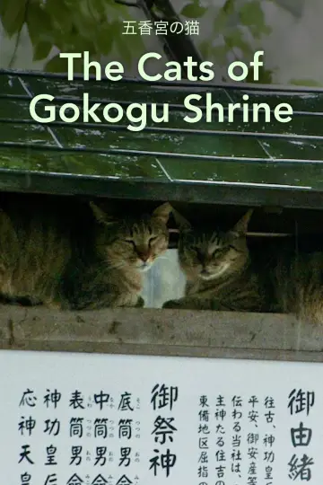 The Cats of Gokogu Shrine