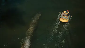 Backdrop to the movie "Untitled Jurassic World Movie" #511835