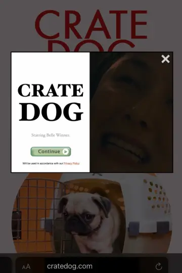 Crate Dog Poster