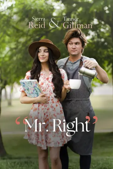 Poster to the movie "Mr. Right" #715400