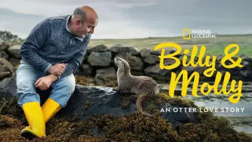 Backdrop to the movie "Billy & Molly: An Otter Love Story" #1015073