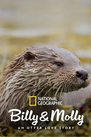 Poster to the movie "Billy & Molly: An Otter Love Story" #1015083