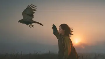 Backdrop to the movie "H Is for Hawk" #535660