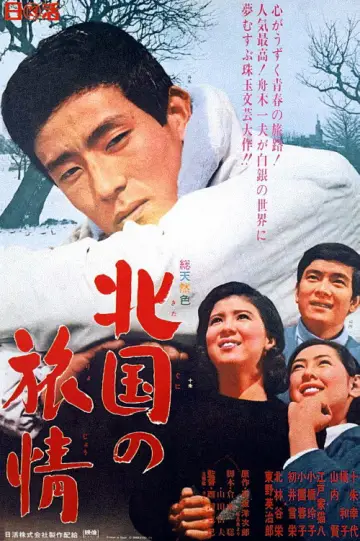 Journey to the North Poster