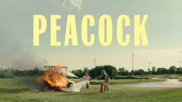 Backdrop to the movie "Peacock" #729608