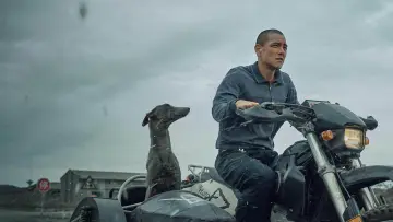 Backdrop to the movie "Black Dog" #864715