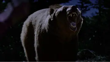 Backdrop to the movie "Grizzly Night" #516505