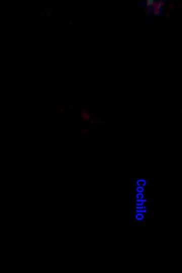 Poster to the movie "Cochilo" #369519