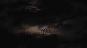 Backdrop to the movie "It