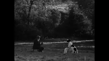 Backdrop to the movie "Bovine Comedy" #412932