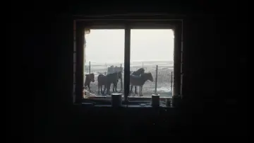 Backdrop to the movie "To Kill a Mongolian Horse" #914812
