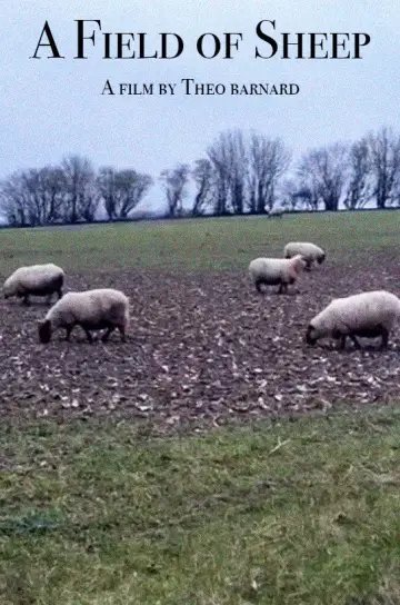 A Field of Sheep Poster