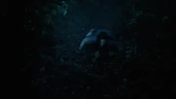 Backdrop to the movie "Ghost Island" #883260