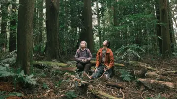 Backdrop to the movie "Crown Shyness" #1567626