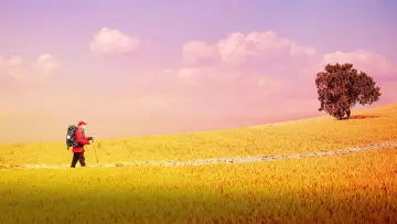 Backdrop to the movie "The Way, My Way" #1092779