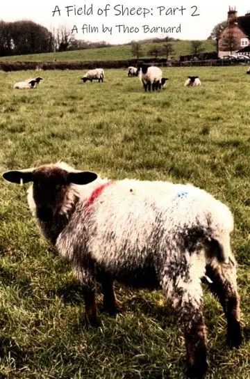 A Field of Sheep Part 2 Poster