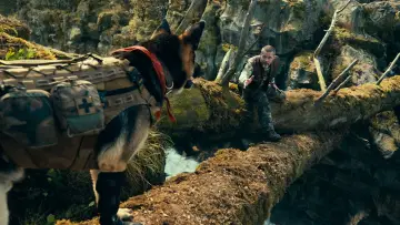 Backdrop to the movie "Heart of the Beast" #1798653