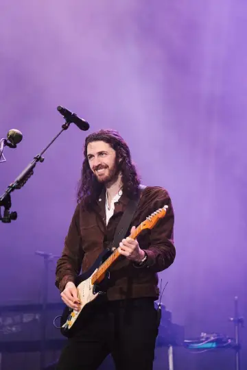 Hozier - Live at Lollapalooza Brazil 2024 Poster
