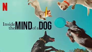 Backdrop to the movie "Inside the Mind of a Dog" #883148