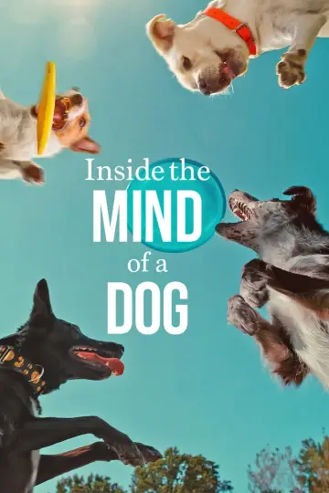Poster to the movie "Inside the Mind of a Dog" #883155