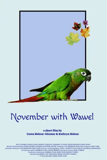 Poster to the movie "November with Wawel" #1086296