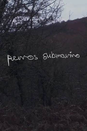 Poster to the movie "Perros submarino" #447090