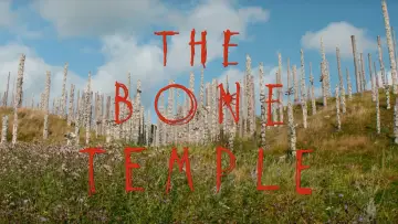 Backdrop to the movie "28 Years Later: The Bone Temple" #760342