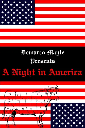 Poster to the movie "A Night in America" #449541