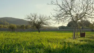 Backdrop to the movie "Our Home" #1122574