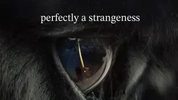 Backdrop to the movie "Perfectly A Strangeness" #1101101