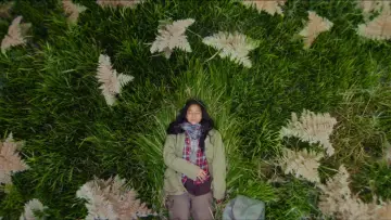 Backdrop to the movie "Four Seasons In Java" #1190836
