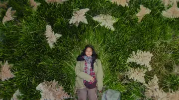 Backdrop to the movie "Four Seasons in Java" #1211141