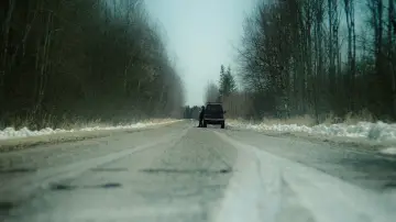 Backdrop to the movie "Creature Fear" #1645992