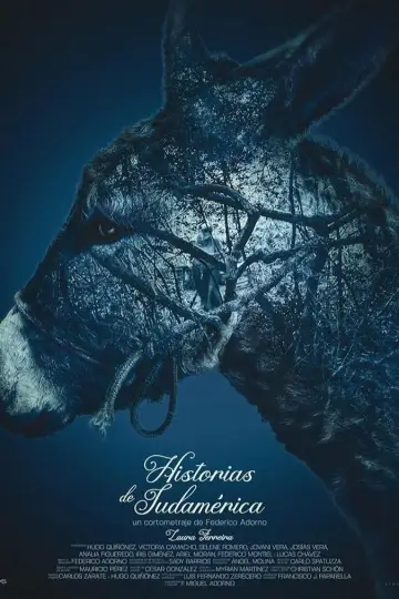 Poster to the movie "Stories from South America" #1107743