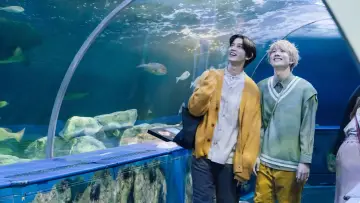 Backdrop to the movie "Let’s Eat Together Aki and Haru, 2nd Cup!" #479961