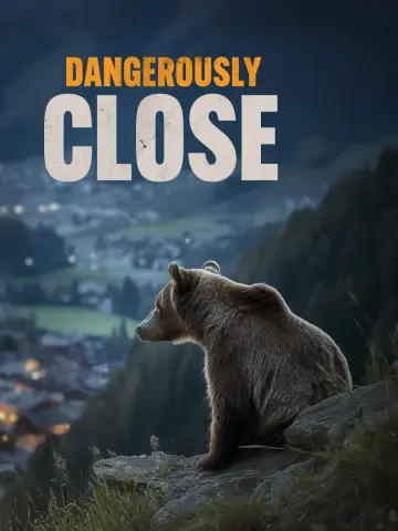 Trouble Bears