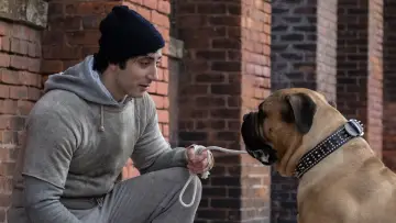 Backdrop to the movie "I Play Rocky" #1635904