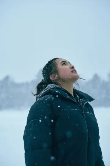 Poster to the movie "Landing On Ice" #1840015