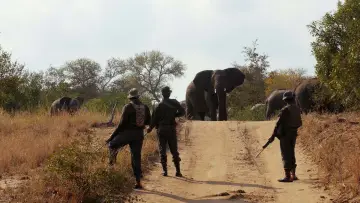 Backdrop to the movie "RHINO MAN" #1120933