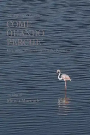 Come quando perché