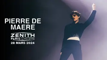 Backdrop to the movie "Pierre de Maere en concert au Zénith de Paris" #504655