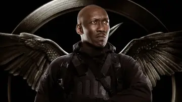 Backdrop to the movie "The Hunger Games: Mockingjay - Part 1" #566756